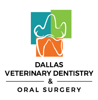 Veterinarian in Dallas, TX - Animal Hospital in Dallas, TX