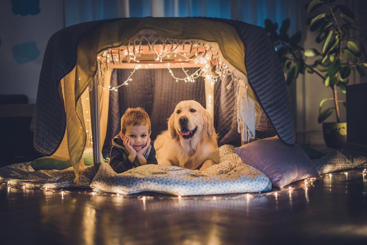 boy and dog in a tent